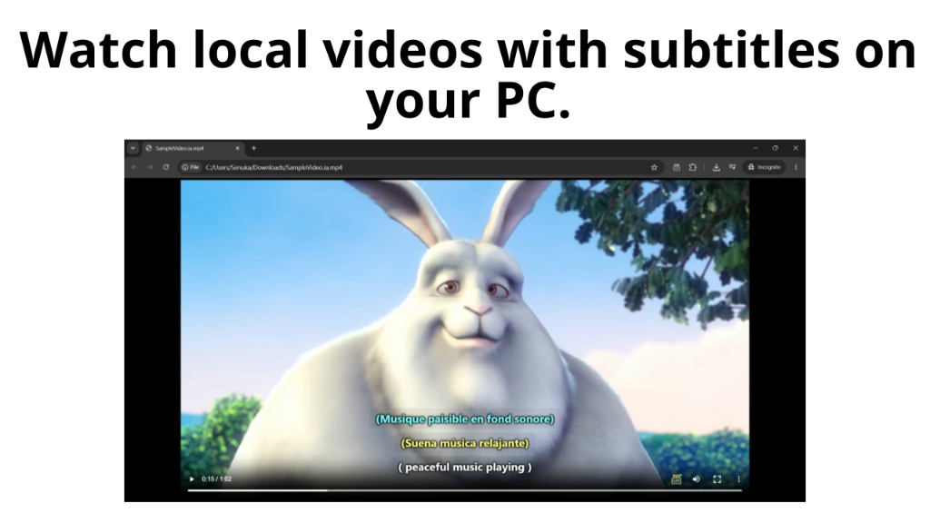 Watch local videos with subtitles on your PC in browser